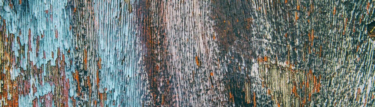 Gardener: Tree-bark colors, textures ready for their close-up – Daily Local